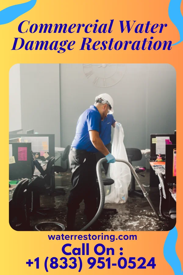 Commercial Water Damage Restoration in Halchita, UT