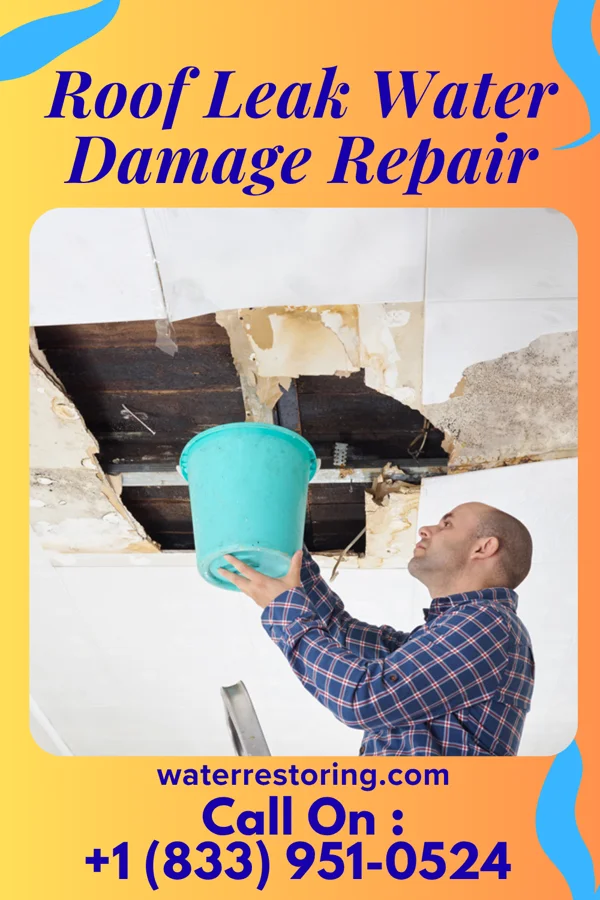 Roof Leak Water Damage Repair in Halchita, UT